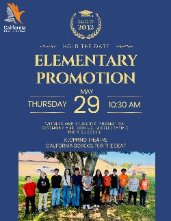 Promotion Flyer
